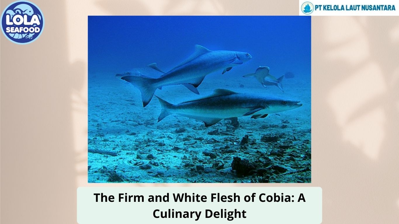 The Firm and White Flesh of Cobia: A Culinary Delight